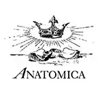 ANATOMICA(アナトミカ) デニム
