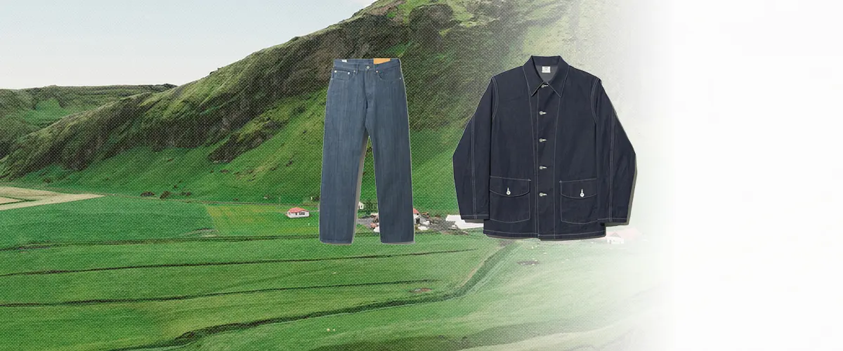 ANATOMICA(アナトミカ) デニム