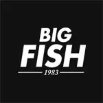 BIGFISH(ビッグフィッシュ) サングラス
