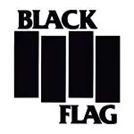 Black Flag(ブラック・フラッグ) ヴィンテージ Tシャツ