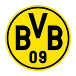 Borussia Dortmund(ボルシア・ドルトムント) サッカー ユニフォーム