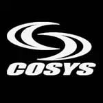 COSYS(コーシーズ) 野球 バット