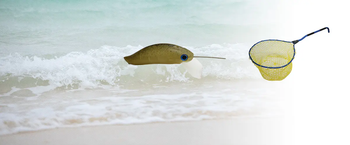 DAYSPROUT(ディスプラウト)