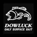 DOWLUCK 道楽(ドウラク) リール