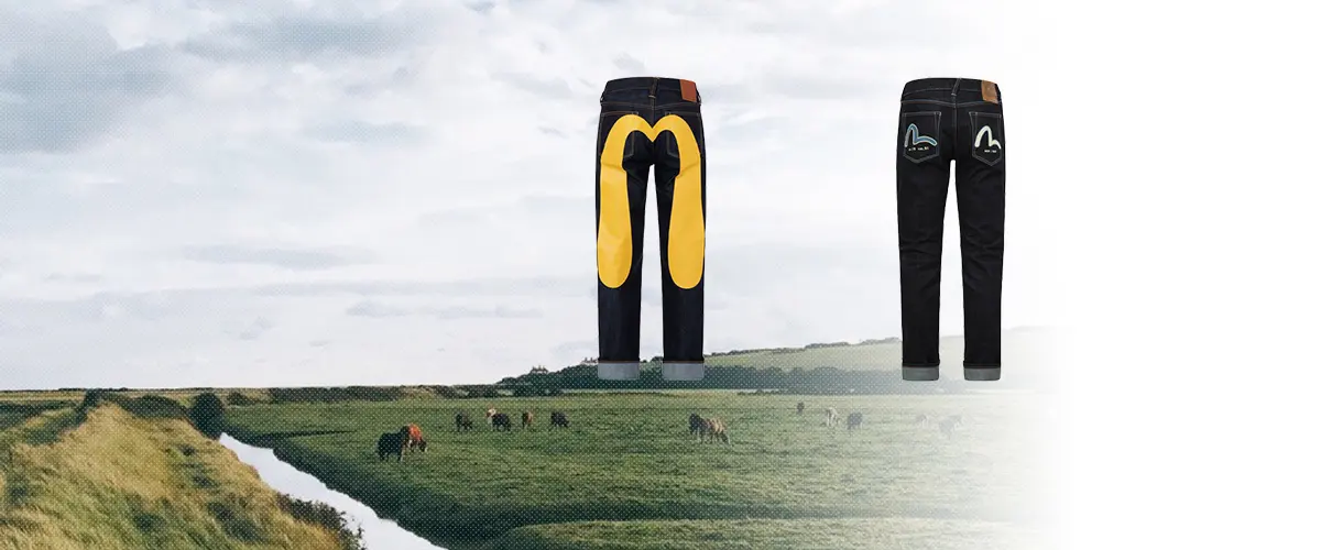 EVISU(エヴィス) デニム