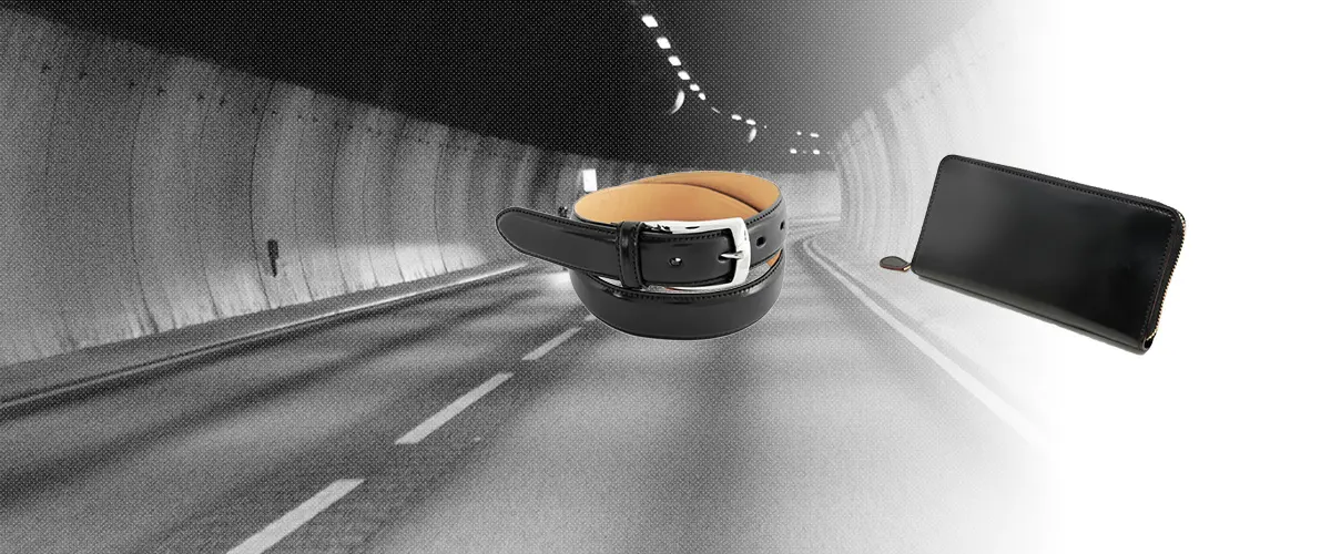 GANZO(ガンゾ) シェルコードバン2