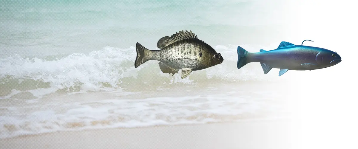 Huddleston Deluxe(ハドルストン) ルアー