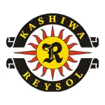 Kashiwa Reysol(柏レイソル) サッカー ユニフォーム