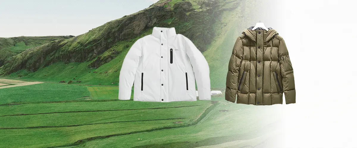 NANO universe(ナノユニバース) ダウン