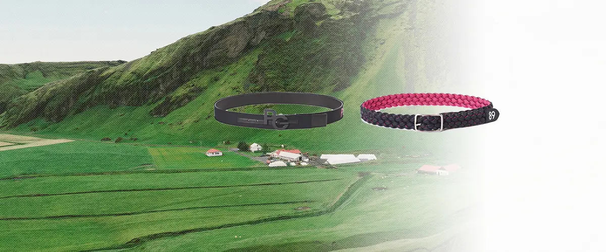 PEARLY GATES(パーリーゲイツ) ベルト