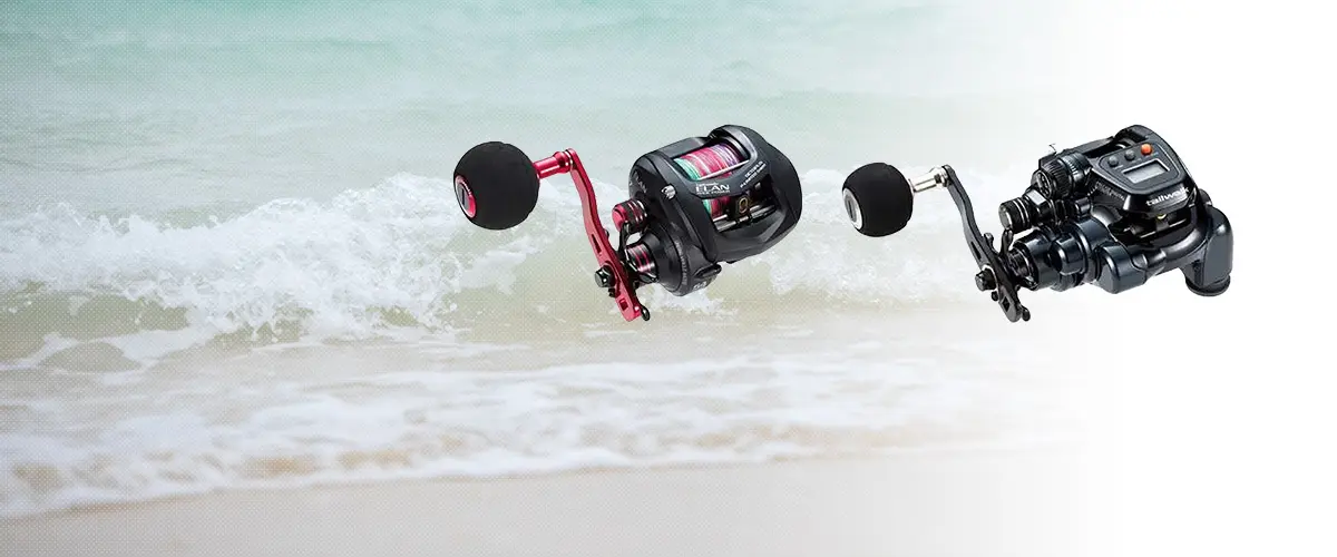 tailwalk(テイルウォーク) ELAN(エラン)