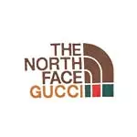 THE NORTH FACE x GUCCI(ノースフェイス x グッチ)