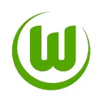 VfL Wolfsburg(VfLヴォルフスブルク) サッカー ユニフォーム