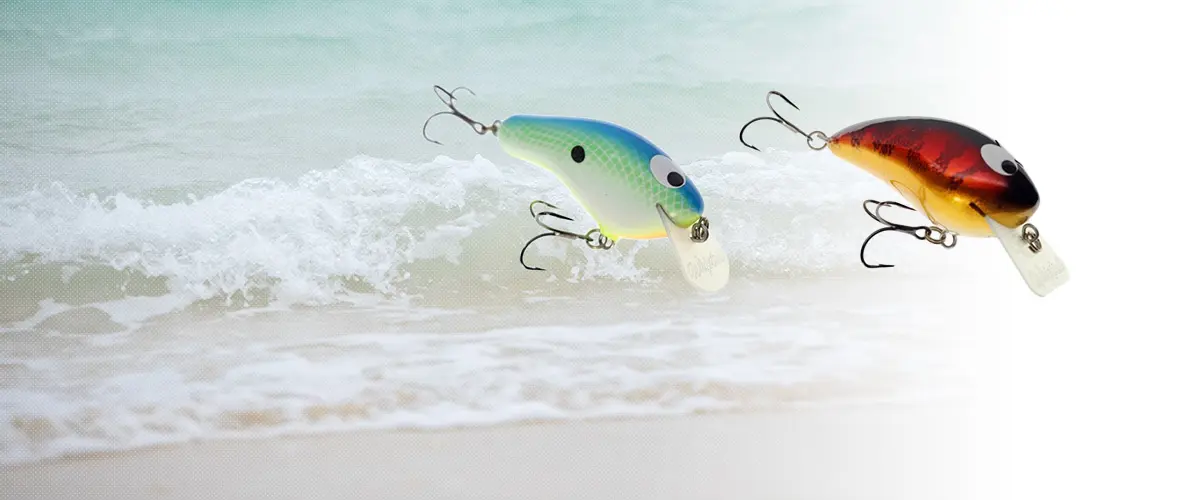 Whiptail Lures(ウィップテイル ルアーズ) ルアー