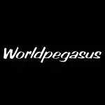 WORLD PEGASUS(ワールドペガサス) 野球 バット