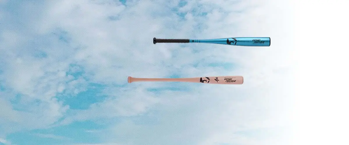 WORLD PEGASUS(ワールドペガサス) 野球 バット