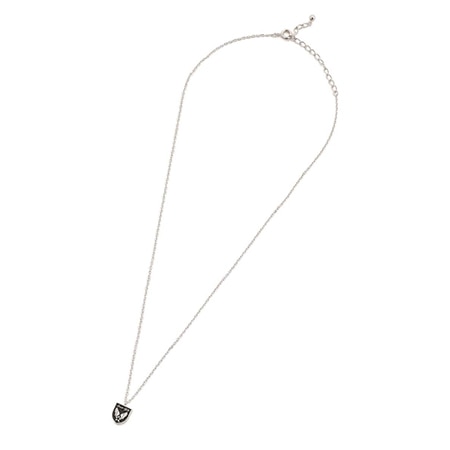 AVIREX(アヴィレックス) ネックレス エアフォース SILVER