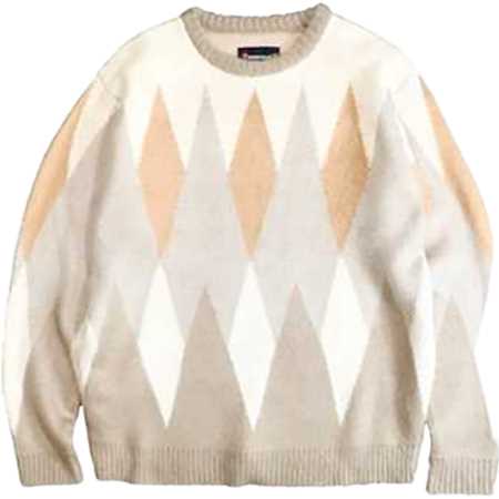 TOWN CRAFT(タウンクラフト) SHAGGY JACQUARD CREW-NECK SWEATER