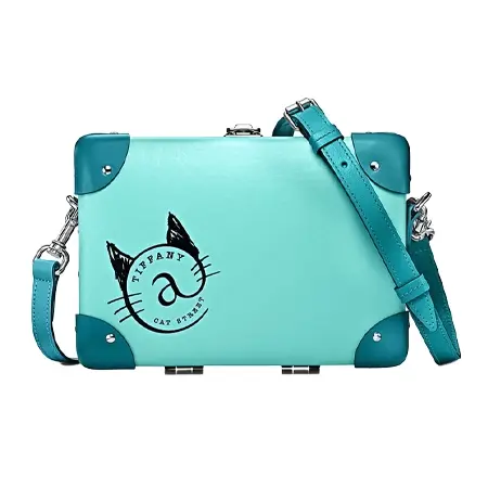 GLOBE-TROTTER(グローブトロッター) コラボ ティファニー@キャットストリート x グローブトロッター ミニ ケース