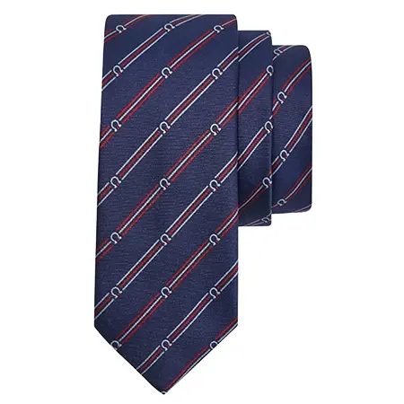 Salvatore Ferragamo(サルヴァトーレフェラガモ) ネクタイ ピュアシルク製ネクタイ