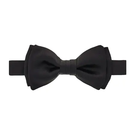 Salvatore Ferragamo(サルヴァトーレフェラガモ) ネクタイ 蝶ネクタイ