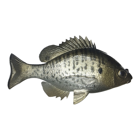 Huddleston Deluxe(ハドルストン) ルアー Bluegill Crappie TH ROF 12