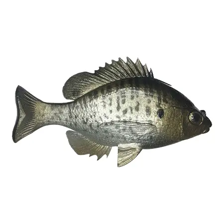 Huddleston Deluxe(ハドルストン) ルアー Bluegill Crappie TH ROF 12
