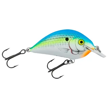 Bagley(バグリー) ルアー Pro Sunny B