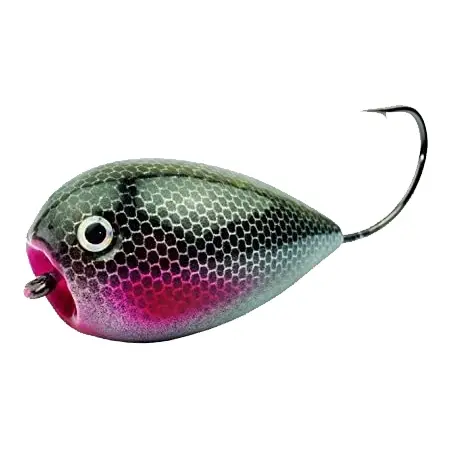 Bumble Lure(バンブル ルアー) ルアー Killer Popper