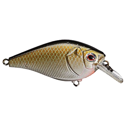 Castaic(キャスティーク) ルアー Boyd Duckett BD Squarebill 1.5