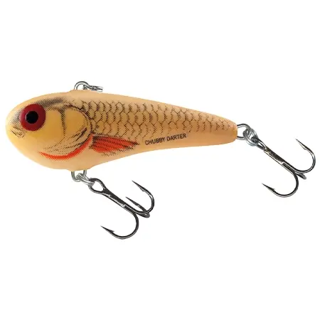 Salmo(サルモ) ルアー CHUBBY DARTER SINKING