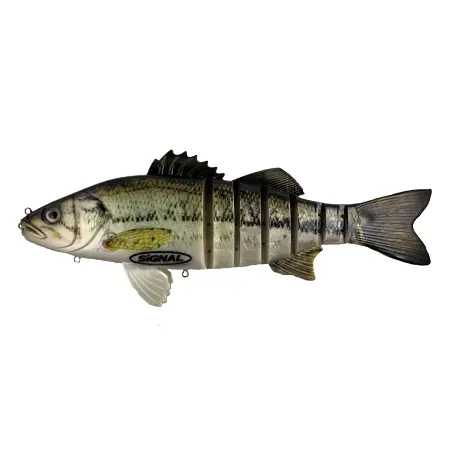 SIGNAL(シグナル) ルアー Teaser（ティーザー）／ラージマウスバス／金鯉／真鯉