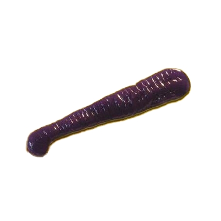 Slimers(スライマーズ) ルアー The 2” Minny is a versatile bait used for Bass, Trout & Crappie
