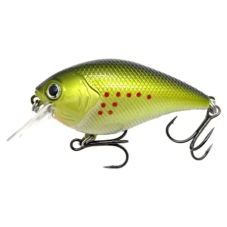 Xcite Baits(エキサイト ベイツ) ルアー XB-1