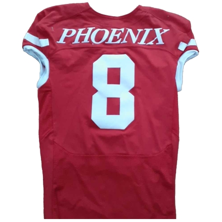 University(大学) アメリカンフットボール ユニフォーム 日本大学アメフト部PHOENIX