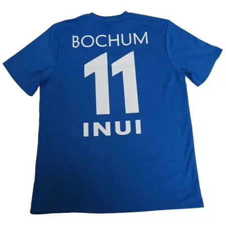 VfL Bochum 1848(VfLボーフム) サッカー ユニフォーム  2011-2012 乾 #11