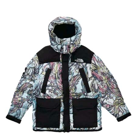 Supreme(シュプリーム) 2022AW The North Face 700-Fill Down Parka Jacket マルチカラードラゴン