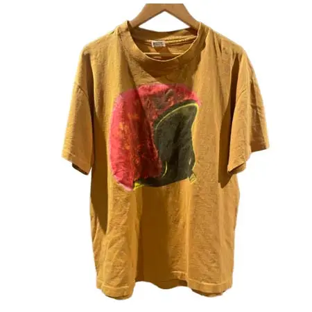 BAND T-SHIRT(バンドTシャツ) 90s The Breeders ヴィンテージ Tシャツ