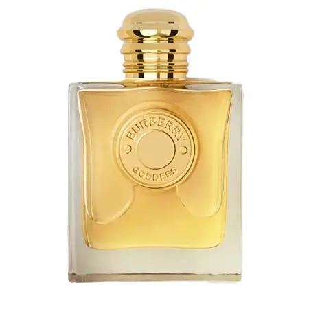 BURBERRY(バーバリー) 香水  ゴッデス オードパルファム インテンス 100ml