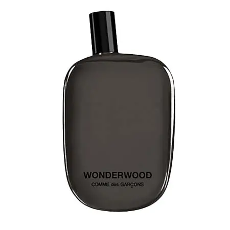 COMME des GARCONS(コムデギャルソン) 香水  ワンダーウッド オードパルファム 100ml