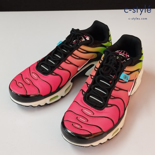 NIKE ナイキ スニーカー 28.0cm マルチカラー AIR MAX PLUS WORLDWIDE CK7291-001