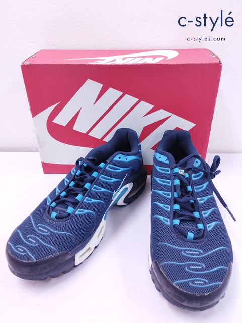 NIKE ナイキ スニーカー 29cm ネイビー×ブルー AIR MAX PLUS TXT 647315-446
