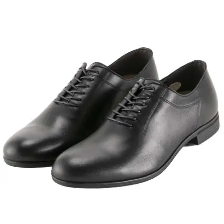 ARGIS(アルジス) メンズシューズ 内羽根プレーントゥ シープスキン 防水 56115FI