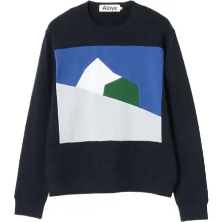ALOYE(アロイ) Color Blocks Crewneck Sweatshirt