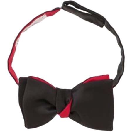 CINABRE(シナーブ) 蝶ネクタイ　サテン無地