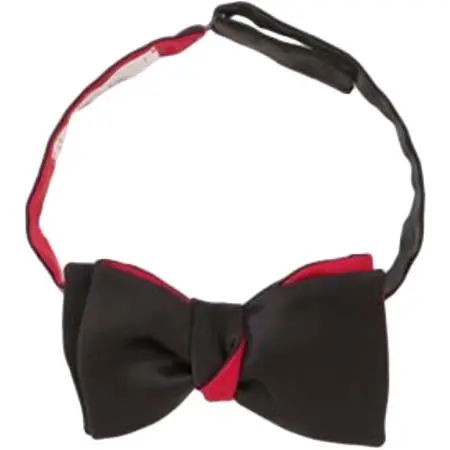 CINABRE(シナーブ) 蝶ネクタイ　サテン無地