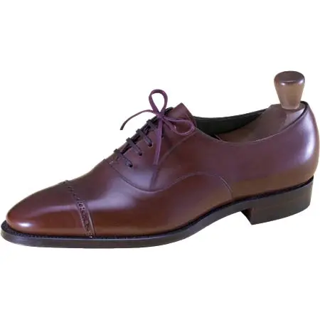 CLEMATIS(クレマチス) Santonia