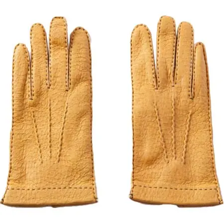 DENTS(デンツ) ペッカリーグローブ（裏地なし） 15-1041