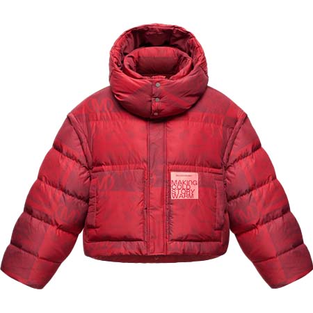 MONOCHROME(モノクローム) ペイズリー ダウンジャケット